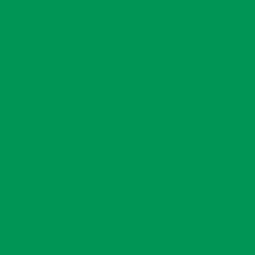 Vinyle textile vert gazon en rouleau, Cricut Smart Iron-on (largeur 33cm)